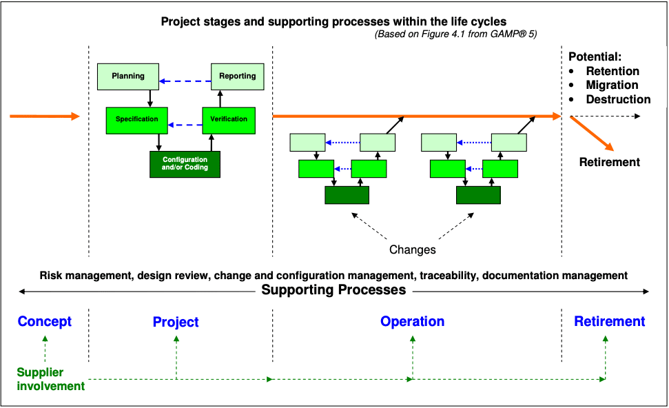 Process stages and supporting processes within the life cycle