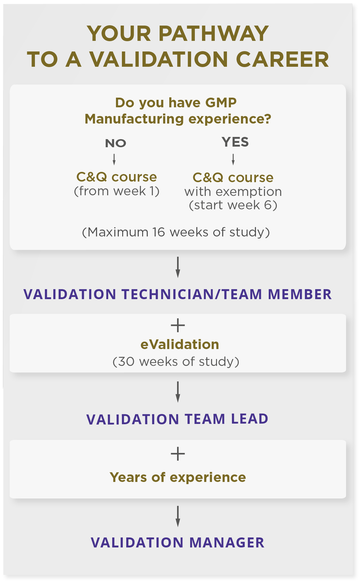 flow diagram showing pathway through a career in validation