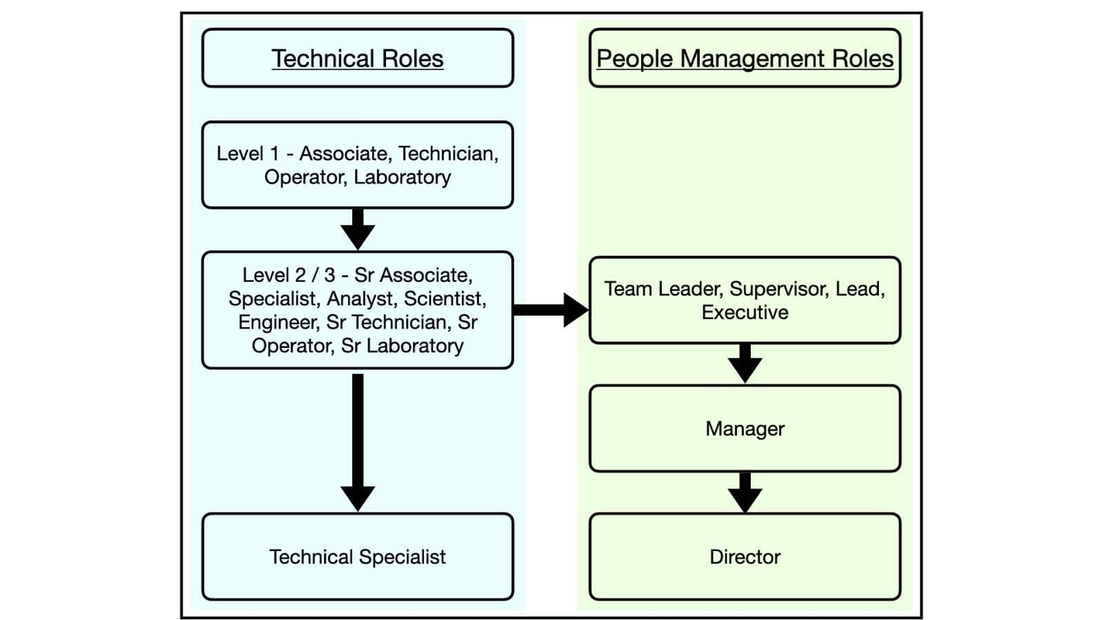 Technical roles & People management roles